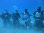 Hawaii Scuba divng 31