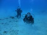 Hawaii Scuba divng 33