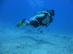 Hawaii Scuba divng 34