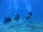 Hawaii Scuba divng 39