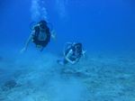 Hawaii Scuba divng 40