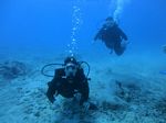 Hawaii Scuba divng 42