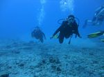 Hawaii Scuba divng 43