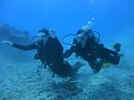 Hawaii Scuba divng 46