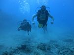 Hawaii Scuba divng 48