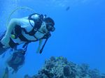 Hawaii Scuba divng 56