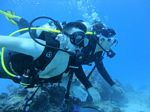 Hawaii Scuba divng 56