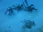 Hawaii Scuba divng 63