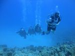 Hawaii Scuba divng 65