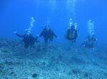 Hawaii Scuba divng 66