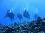 Hawaii Scuba divng 67