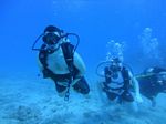 Hawaii Scuba divng 68