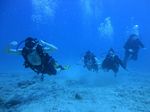 Hawaii Scuba divng 69