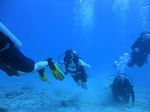 Hawaii Scuba divng 70