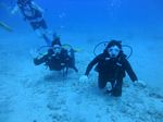 Hawaii Scuba divng 71