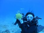 Hawaii Scuba divng 72