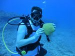 Hawaii Scuba divng 74