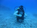 Hawaii Scuba divng 75