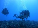 Hawaii Scuba divng 77