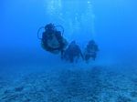 Hawaii Scuba divng 78