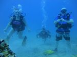 Hawaii Scuba 27