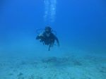 Hawaii Scuba 34