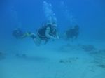 Hawaii Scuba 01