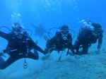 Oahu scuba 53