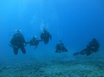 Oahu scuba 57