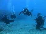 Oahu scuba 63