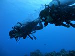 Oahu scuba 76