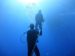 Oahu scuba 07