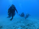 Oahu scuba 81