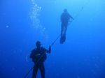 Oahu scuba 08