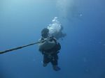 Hawaii Scuba divng 21