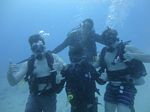 Hawaii Scuba divng 24