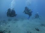 Hawaii Scuba divng 25