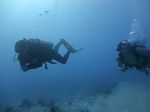 Hawaii Scuba divng 26