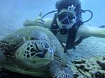 Hawaii Scuba divng 31