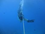 Hawaii Scuba divng 10