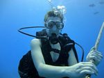 Hawaii Scuba divng 12