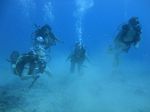 Hawaii Scuba divng 18