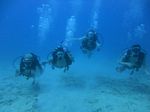 Hawaii Scuba divng 27