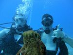 Hawaii Scuba divng 33