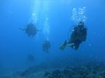 Hawaii Scuba divng 38