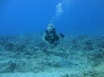 Hawaii Scuba divng 48