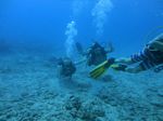 Hawaii Scuba divng 56