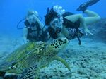 Hawaii Scuba divng 58