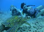 Hawaii Scuba divng 59