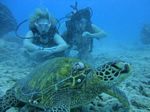 Hawaii Scuba divng 62